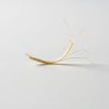Smooth, reflecting a soft shadow beneath the seed, emphasizing Royalty Free Stock Photo