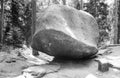 Smooth rock in forest