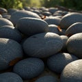 Smooth, round grey stones cover the ground, creating a textured surface. Dappled Royalty Free Stock Photo