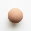 Smooth, round object resembling a brown egg is centered again Royalty Free Stock Photo