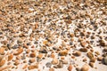 Smooth round pebble stones on the sand beach backgound