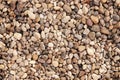 Smooth round pebbles texture background. Pebble sea beach close-up, dark wet pebble and gray dry pebble. High Royalty Free Stock Photo