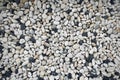 Smooth round pebbles texture background. Pebble sea beach close-up, dark wet pebble and gray dry pebble Royalty Free Stock Photo