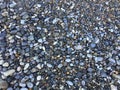 Smooth round pebbles texture background. Pebble sea beach close-up, dark wet pebble and gray dry pebble Royalty Free Stock Photo