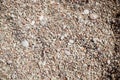 Smooth round pebbles texture background. Pebble sea beach close-up, white, brown and gray dry pebble. Small round stones Royalty Free Stock Photo