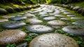 Of smooth round stones is set into the ground surrounded by green Royalty Free Stock Photo