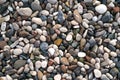 Smooth round wet pebbles texture background. Pebble sea beach close-up.