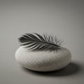 A smooth, rounded gray stone serves as the base for a delicate black feather. The Royalty Free Stock Photo