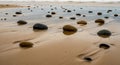 Smooth, rounded stones scattered across a sandy beach, glistening under a thin layer of water. The Royalty Free Stock Photo