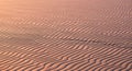 Smooth sand dunes with evenly spaced Royalty Free Stock Photo