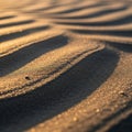 Smooth sand dunes with rippled patterns are illuminated by warm, golden light, likely from a Royalty Free Stock Photo