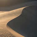 Smooth sand dunes under low-angle sunlight, casting elongated shadows and Royalty Free Stock Photo