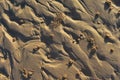 Smooth sand texture