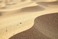 Smooth sand waves, subtle shadows, fine grain, landscape, coast, desert Royalty Free Stock Photo