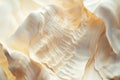 Smooth seashell texture, soft beige and white with visible ridges and natural patterns, coastal and