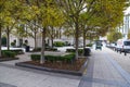 A smooth sidewalk in the city surrounded by autumn colored trees and fallen autumn leaves with parked cars on the street