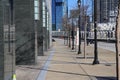 A smooth sidewalk lined with bare winter trees and tall black light posts and an empty street with office buildings Royalty Free Stock Photo