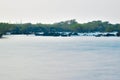 smooth silky water of sea beach with mangroves at manori beach Royalty Free Stock Photo