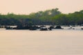 smooth silky water of sea beach with mangroves at manori beach India Royalty Free Stock Photo