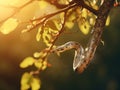 Smooth snake hanging from a tree branch   Made With Generative AI illustration Royalty Free Stock Photo