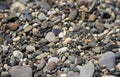 Smooth stone cover pattern of pebble stones Royalty Free Stock Photo