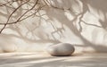 Smooth stone placed on a sunlit floor with shadows of tree branches cast on a textured wall. Royalty Free Stock Photo
