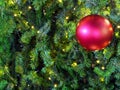red christmas ball hanging on artificial christmas tree with copy space Royalty Free Stock Photo