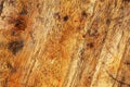 Smooth surface and texture of old softwood with brown stains, wood background