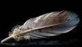 Smooth swan feather soaring in mid air beauty generated by AI Royalty Free Stock Photo