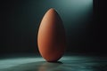 Giant Egg in Dark Studio Royalty Free Stock Photo