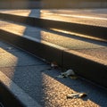 Smooth, textured steps are bathed in soft, golden light, casting long shadows Royalty Free Stock Photo