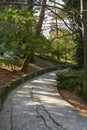 Smooth turn of a paved road in a tropical forest