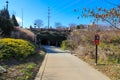 a smooth walking trail surrounded by gorgeous autumn trees and plant with tall black lamp posts and blue sky at Little Sugar Creek