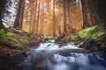 Smooth water in a creek with autumn colors Royalty Free Stock Photo