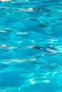 The smooth water in the pool as a background Royalty Free Stock Photo