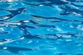 The smooth water in the pool as a background Royalty Free Stock Photo