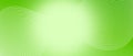 Smooth wave lines texture. White undulate stripes on light green background. Warped and curved lines wallpaper