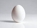 White Chicken Egg Standing Upright on a Reflective Surface white egg raw egg Royalty Free Stock Photo