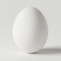 A smooth, white egg stands upright on a gray surface. Its oval shape casts a soft Royalty Free Stock Photo