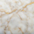 A smooth white marble surface with delicate gold veining is visible. The gold lines Royalty Free Stock Photo