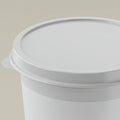 A smooth, white plastic container with a secure snap-on lid is depicted. The lid Royalty Free Stock Photo