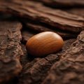 A smooth wooden egg lies on the bark of a tree. Royalty Free Stock Photo