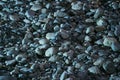 Smooth worn black basalt pebbles Royalty Free Stock Photo