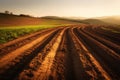 Smoothed and formed the soil after plow and seed in countryside landscapes during late afternoon with soft golden light,