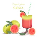 Smoothie Guava Vector exotic fruits cocktail