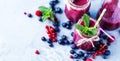 Flat-lay of colorful smoothies in bottles with tropical fruit and superfoods on concrete background Royalty Free Stock Photo