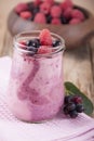 Smoothies of raspberry and shadberry with yogurt. Royalty Free Stock Photo