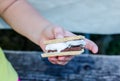 Smore`s, a delicious sweet treat with roasted marshmallow, graham cracker and chocolate. Royalty Free Stock Photo