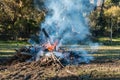 Smouldering campfire in woodland