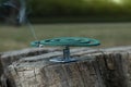 Smouldering insect repellent coil on tree stump outdoors